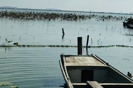 2026年属蛇的宝姓男孩起名大全