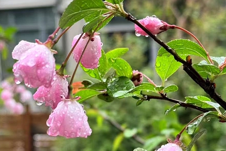 2026ÊôÖíÅ®º¢Ãû×Ö´óÈ«