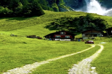 姓名免费测试打分测试