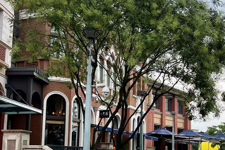 姓吴的女孩属兔取什么名字比较好