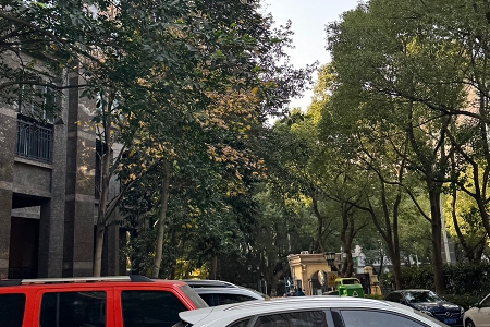 兔年女孩子名字好听简单