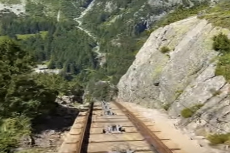 2026年属马的魏姓男孩起名大全