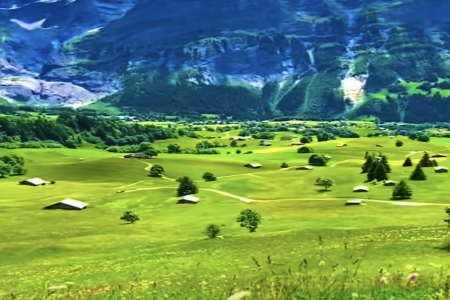 2026年属马的丰姓男孩起名大全